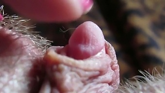 Intense Focus On My Throbbing Clitoris Head