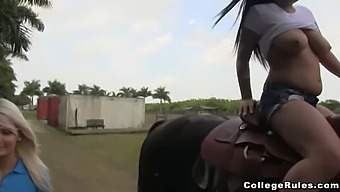 Public Group Sex With College Students Sucking And Fucking